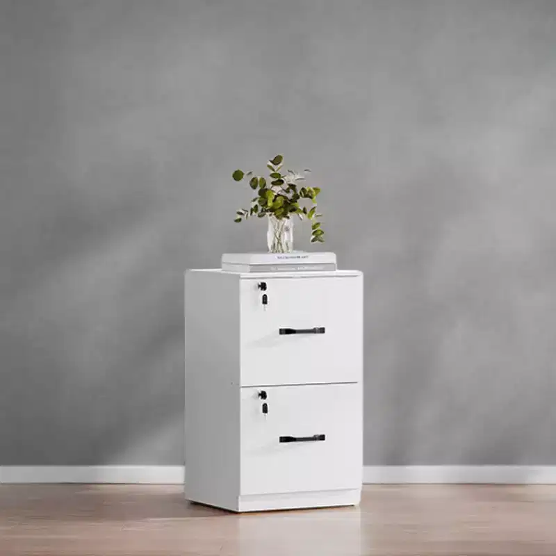 2-Drawer Vertical File Cabinet with 2 Lockable Drawers, Adjustable Hanging Rail, Filing Cabinet, Printer Stand