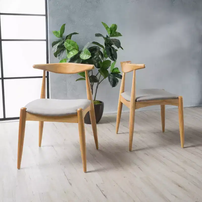 Set of 2 Francie Mid Century Dining Chairs - Christopher Knight Home