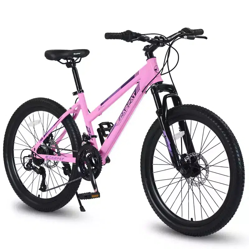NAYSAYE Bicycle 24 Inch Mountain Bike with 21 Speed Shifter Dual Disc Brakes for Teenagers and Women, Pink, 66*24.8*35