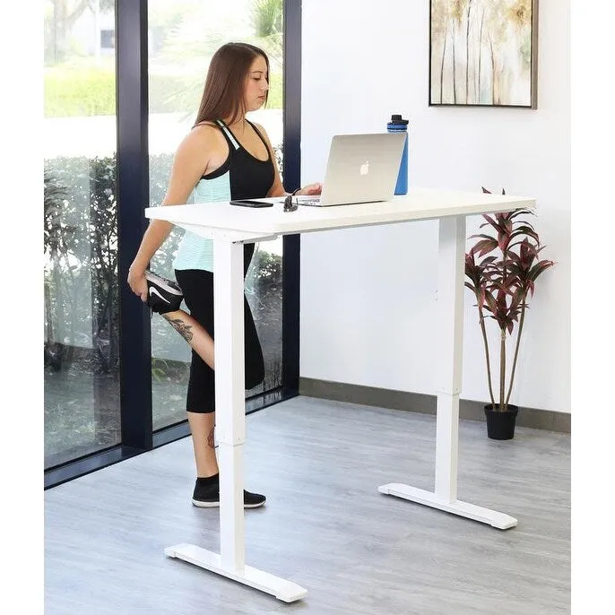White / Graphite / Walnut / Black Electric Standing Desk, Single Person, 48