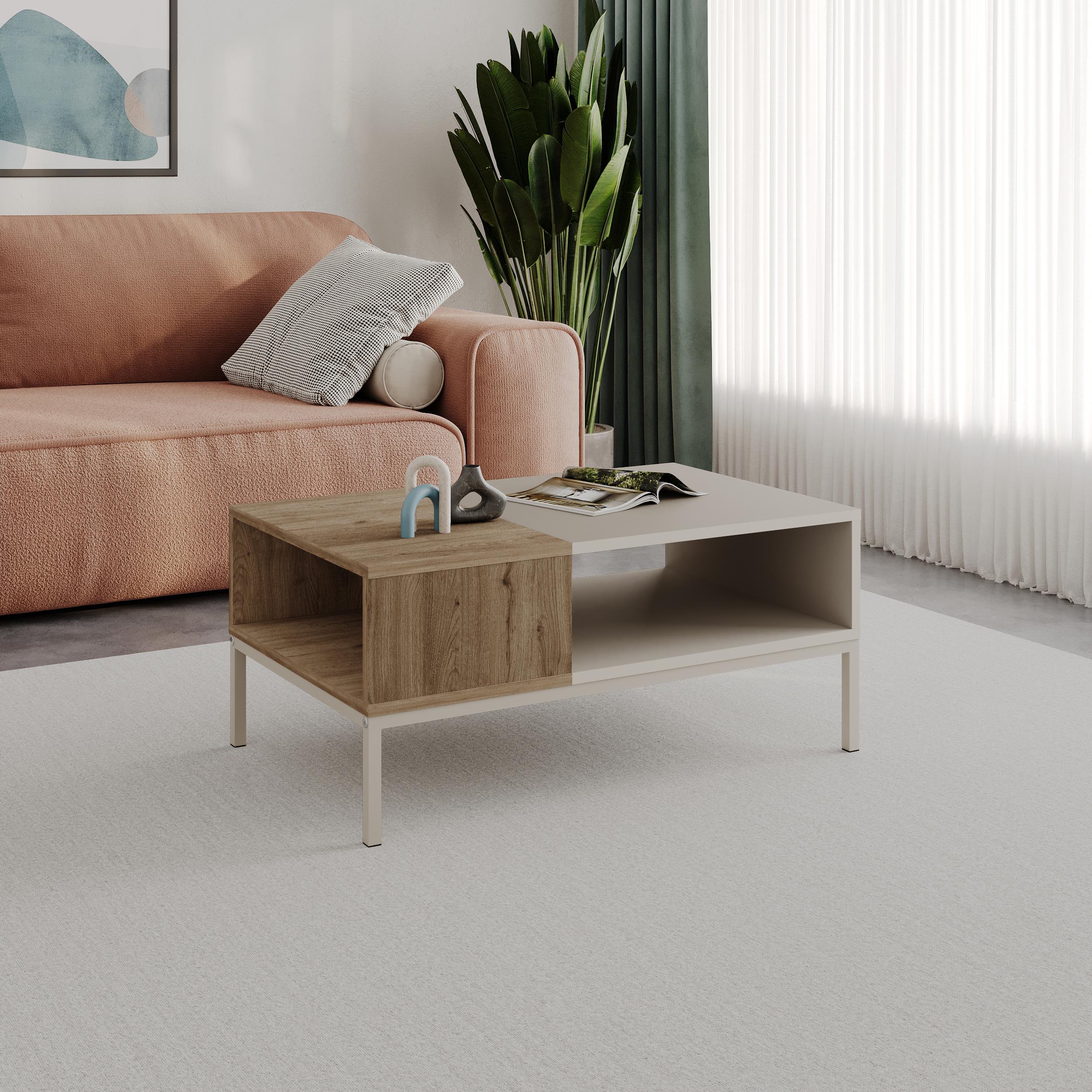 Cailin Modern Coffee Table with Open Storage