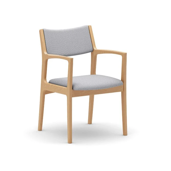 Dining Chair(Multiple colors are available for you to choose from.)