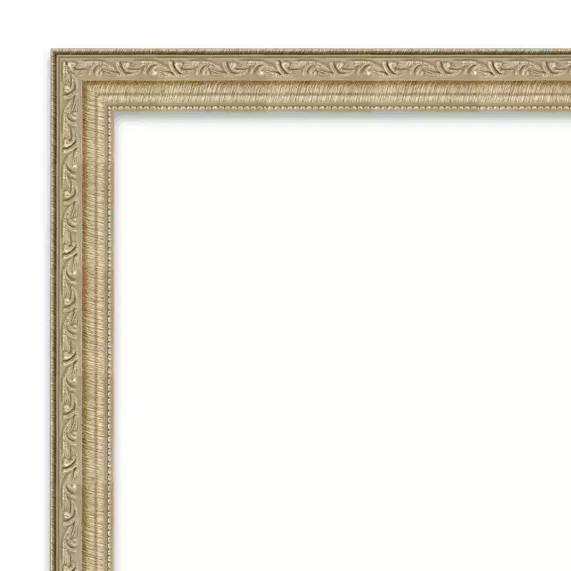 Amanti Art Paris Champagne Non-Beveled On the Door Mirror Full Length Mirror, Wall Mirror 50.25 in x 16.25 in.