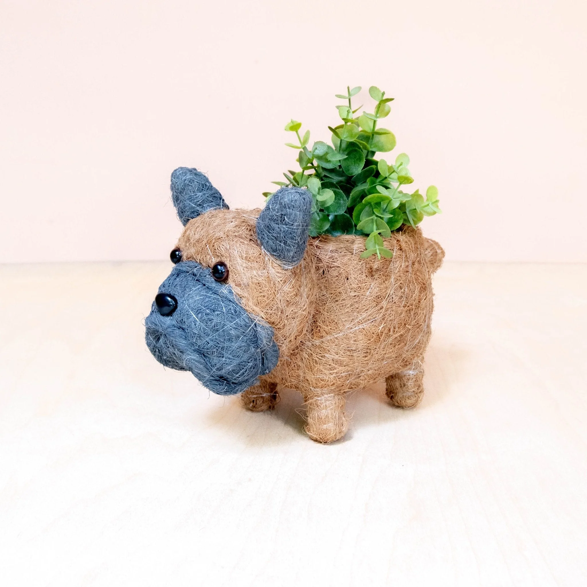 Baby French Bulldog Planter - Coco Coir Pots