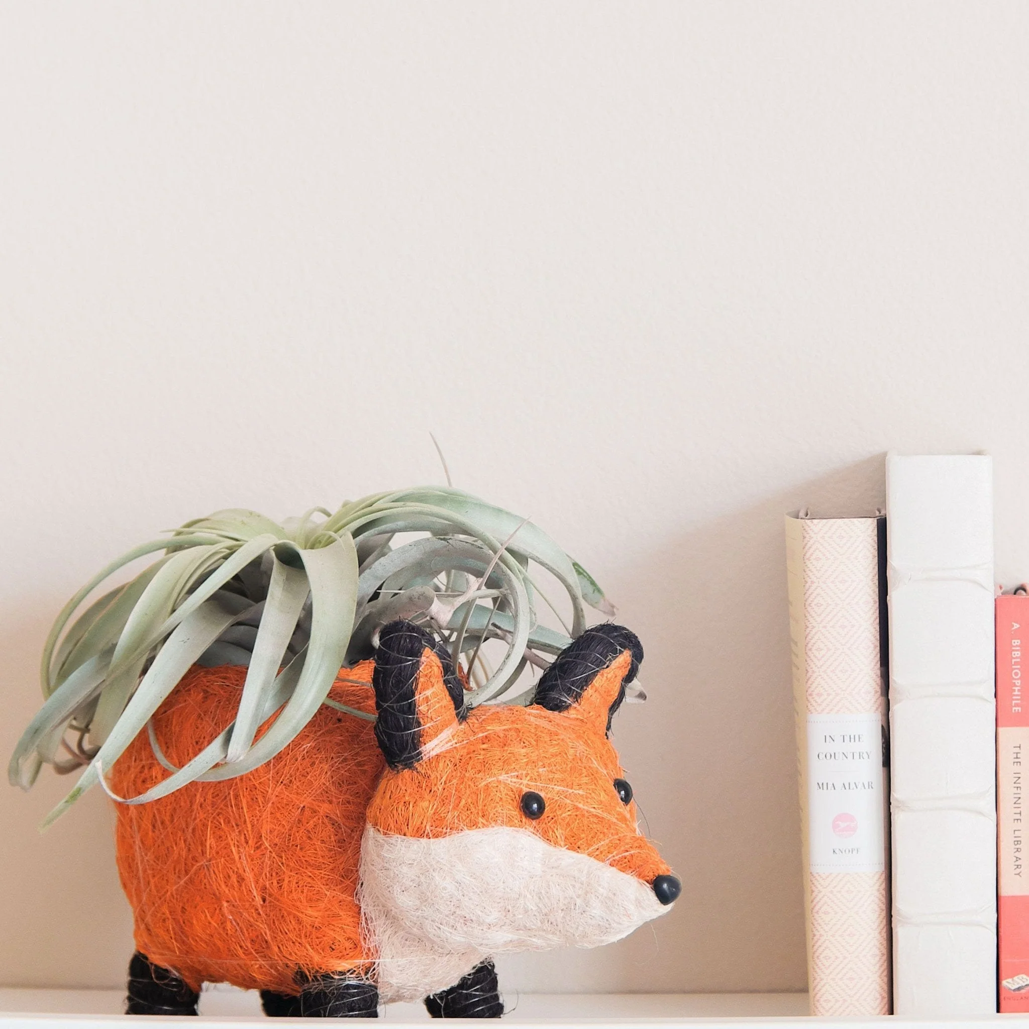 Fox Planter - Coir Planters
