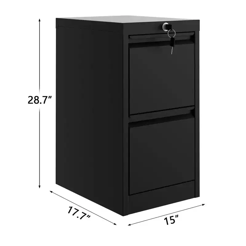 COZONY Vertical File Cabinet with Lock, 2-Drawer Metal Storage for Letter and Legal Documents