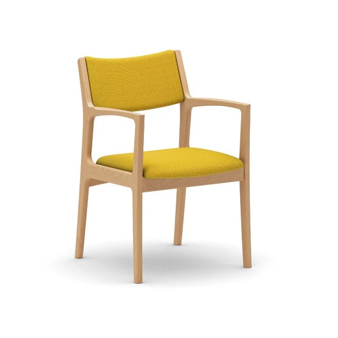 Dining Chair(Multiple colors are available for you to choose from.)