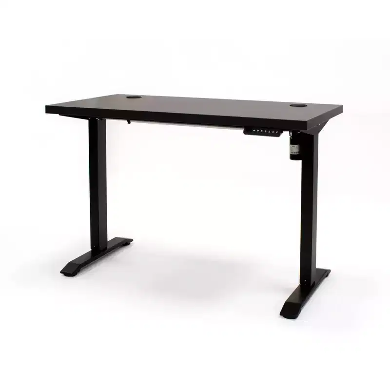 Electric Sit/Stand Desk