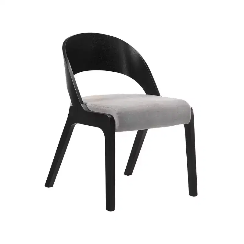 Set of 2 Polly Mid-Century Upholstered Dining Chairs - Armen Living