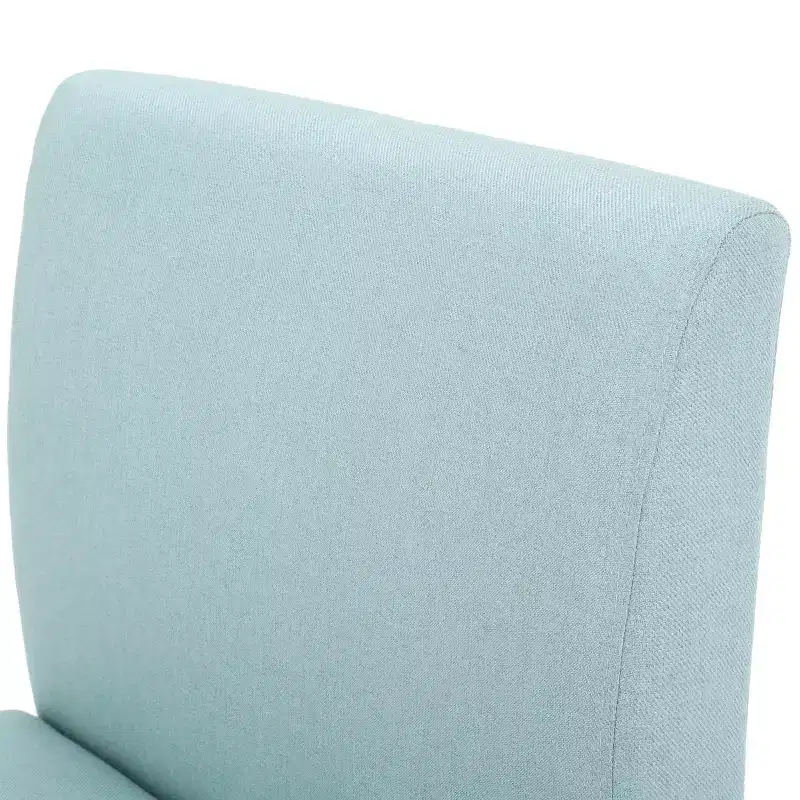 Set of 2 Kassi Accent Chair - Christopher Knight Home