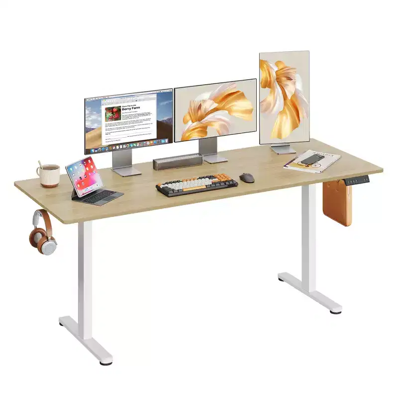 DEXYLLO 71 Inch Electric Standing Desk, Ergonomic Sit-to-Stand Desk with LED Touchscreen, 3 Memory Presets & Hook for Home Office