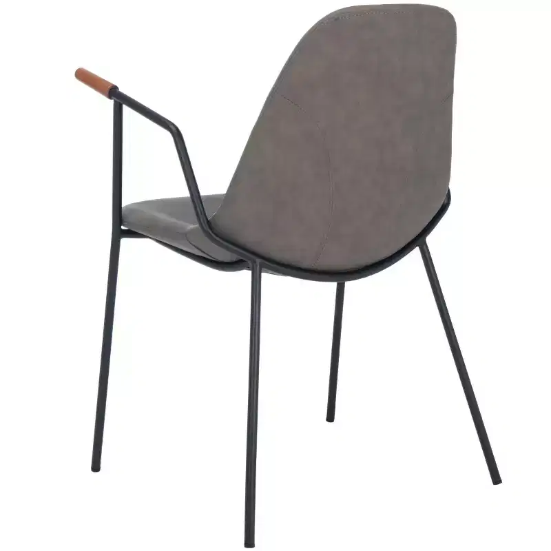 Tanner Mid-Century Dining Chair (Set of 2) - DCH3001 - Safavieh