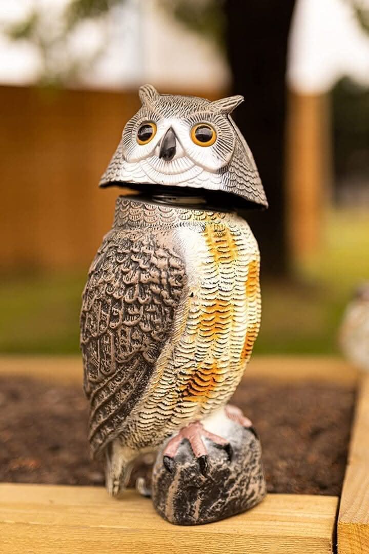 Realistic Swivel Head Owl Bird Deterrent Garden Pest Repeller
