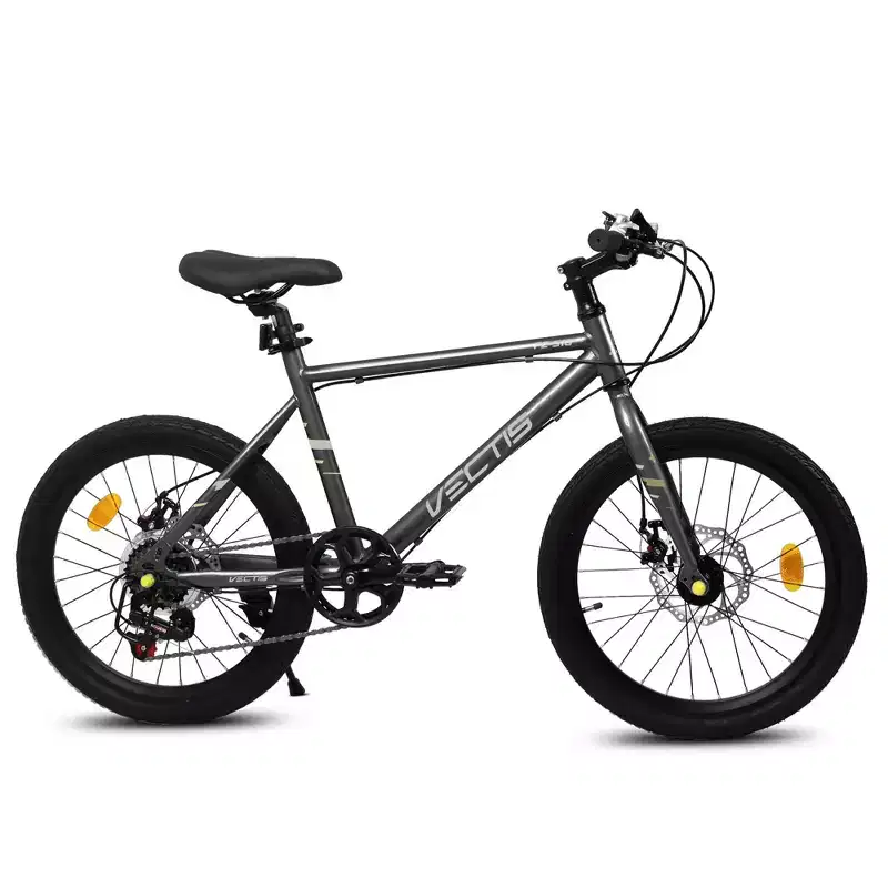 Okak 20IN Toddler Bike with 7-Speed and Steel Frame, Kids Bike with Dual Disc Brakes and 1.75IN Tires, Kids Cruiser Bikes for Boys & Girls