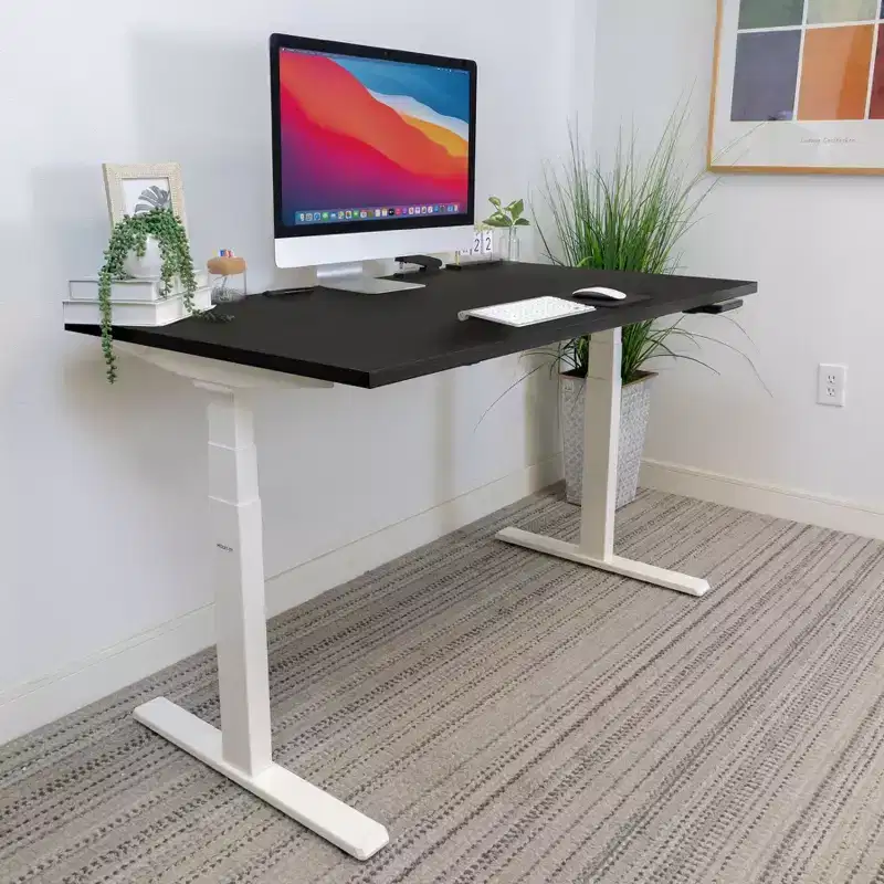 Dual Motor Electric Standing Desk with 55 Tabletop, Black & White