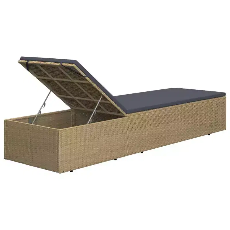 vidaXL Sunlounger and PE rattan Standard Foldable