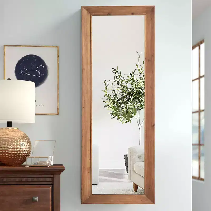 21 in. W x 64 in. H Modern Solid Wood Rectangle Framed Full Length Decorative Mirror in Brown