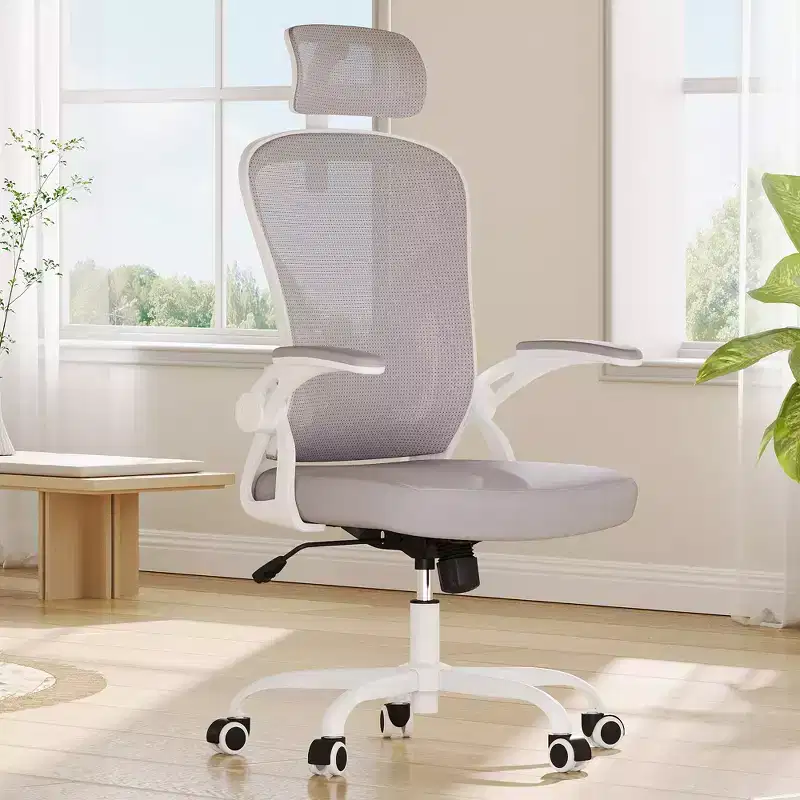 Ergonomic Home Office Chair with Headrest, Flip-Up Armrests & Adjustable Lumbar Support (Gray)