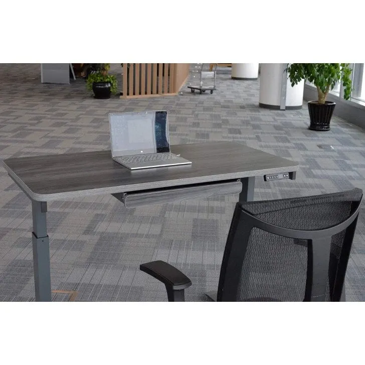 White / Graphite / Walnut / Black Electric Standing Desk, Single Person, 48