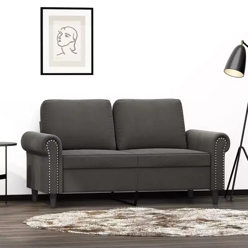 vidaXL Modern 2-Seater Sofa in Luxurious Dark Gray Velvet with Sturdy Metal and Plywood Frame  Comfortable, Stylish, and Easy-to-Assemble.