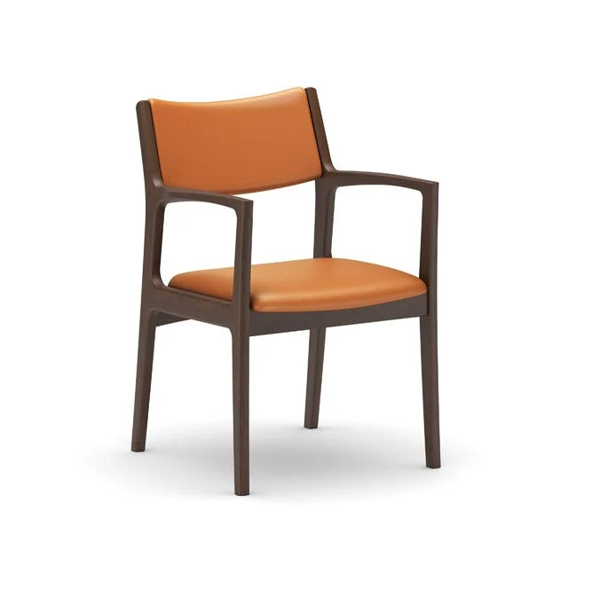 Dining Chair(Multiple colors are available for you to choose from.)