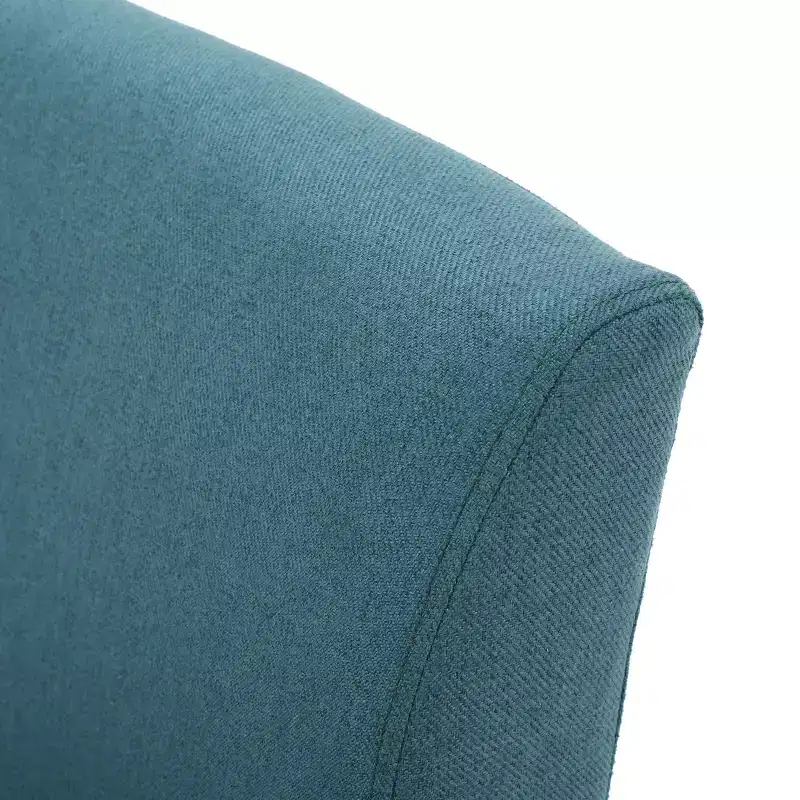 Set of 2 Kassi Accent Chair - Christopher Knight Home