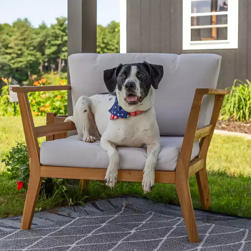 Sunnydaze Bodie Acacia Wood Patio Armchair with Bone White Cushions - Natural