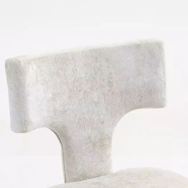 Set of 2 Chenille Upholstered Dining Chairs with Hardwood Frame & Brass Nailhead Trim, 300 lbs