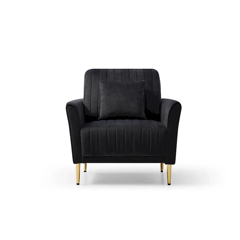 Velvet Accent Chair Living Room Chair Set of 2