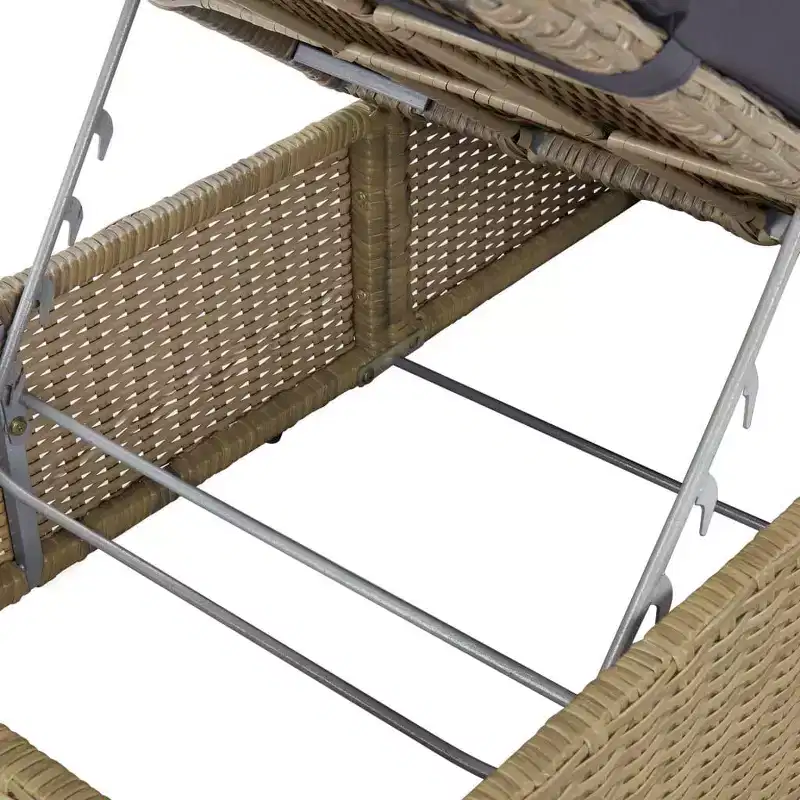 vidaXL Sunlounger and PE rattan Standard Foldable