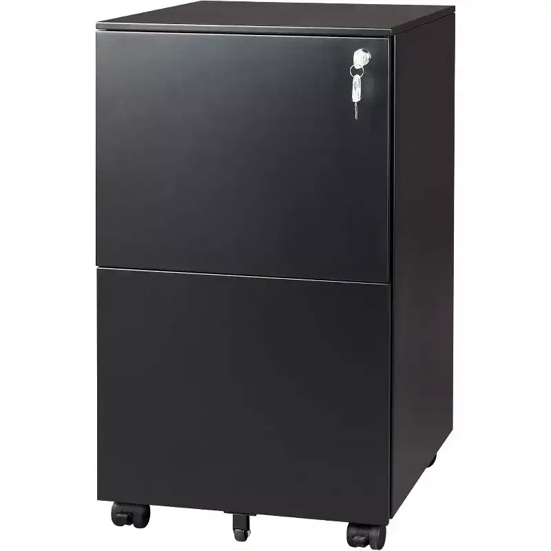 DEXYLLO 2-Drawer Mobile File Cabinet with Lock, Commercial Vertical Cabinet for Home Office,Under Desk Storage