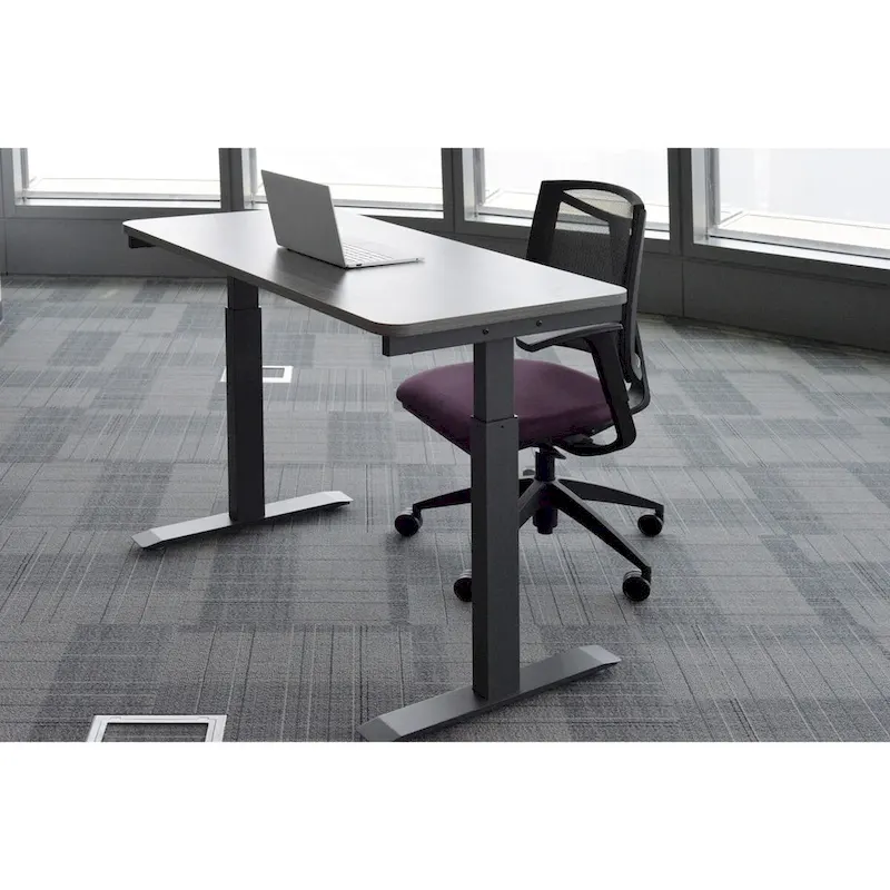 White / Graphite / Walnut / Black Electric Standing Desk, Single Person, 48