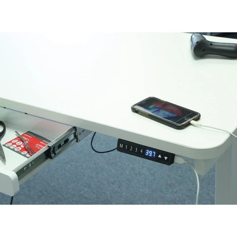 White / Graphite / Walnut / Black Electric Standing Desk, Single Person, 48