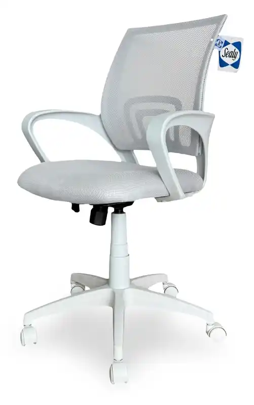 25.2 Adjustable Ergonomic Office Chair with Mesh Padding