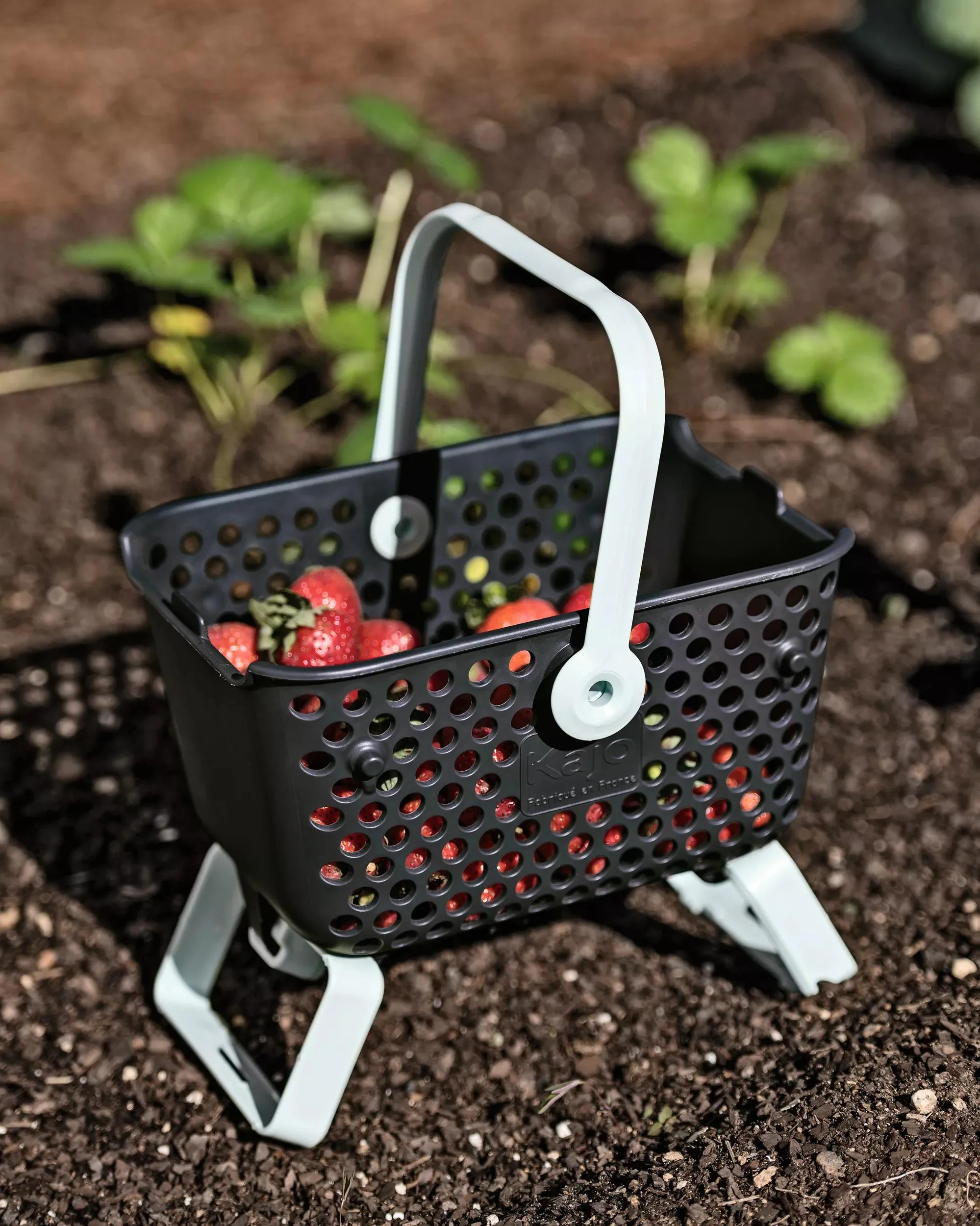 Mini Folding Garden Harvest Basket with Mesh Bottom and Foldable Legs