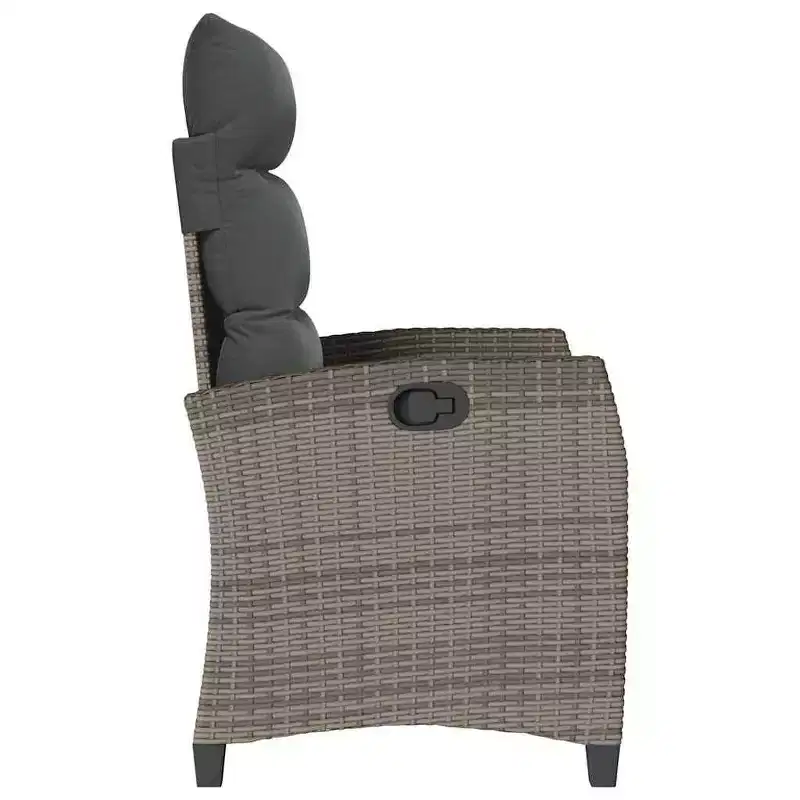 vidaXL Reclining Garden Chair PE rattan, powder-coated steel Medium