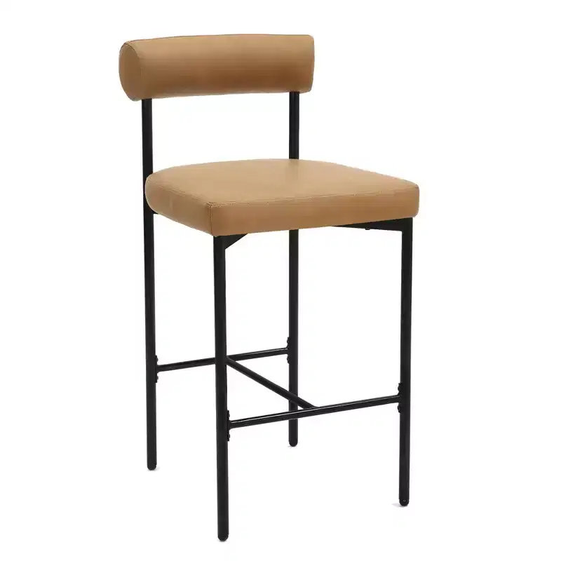 Nathan James Set of 2 Dahlia Counter Height Barstools