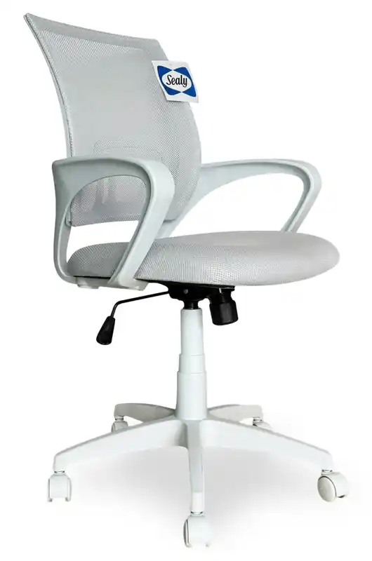 25.2 Adjustable Ergonomic Office Chair with Mesh Padding