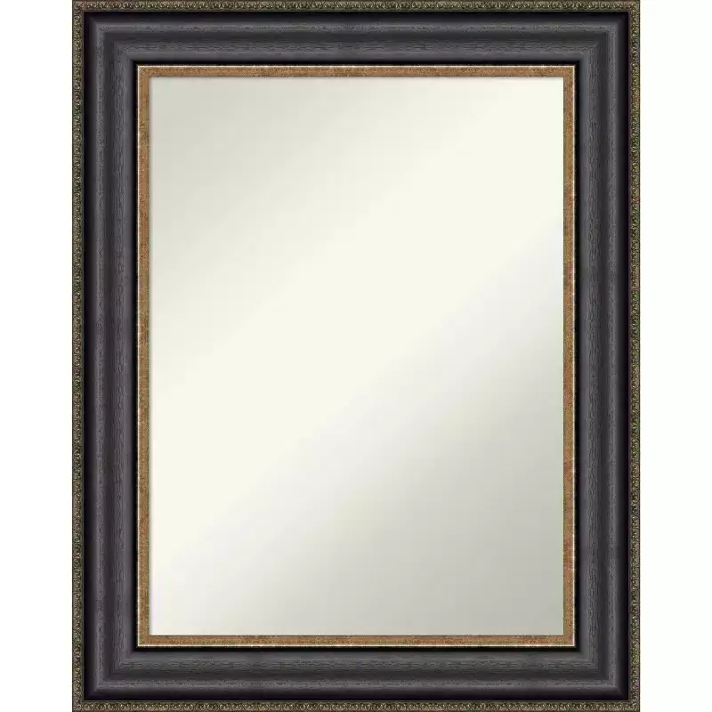 24" x 30" Non-Beveled Thomas Black Bronze Wall Mirror
