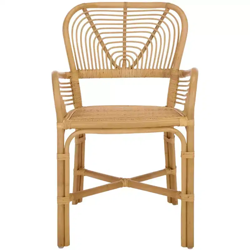 Rimma Rattan Arm Chair - ACH6701 - Natural - Safavieh