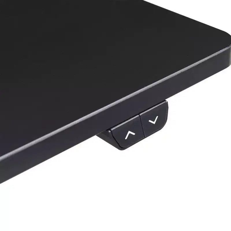 Ergo Electric Height Adjustable Standing Desk - True Seating