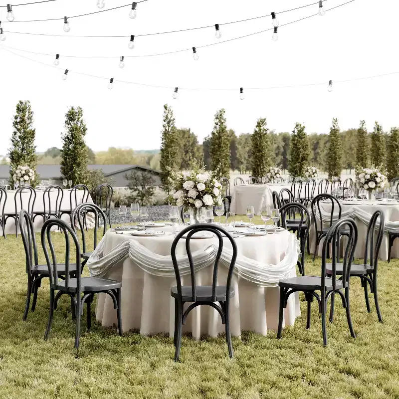 2-Pack Commercial Indoor/Outdoor Wood-Look Resin Thonet Style Chair