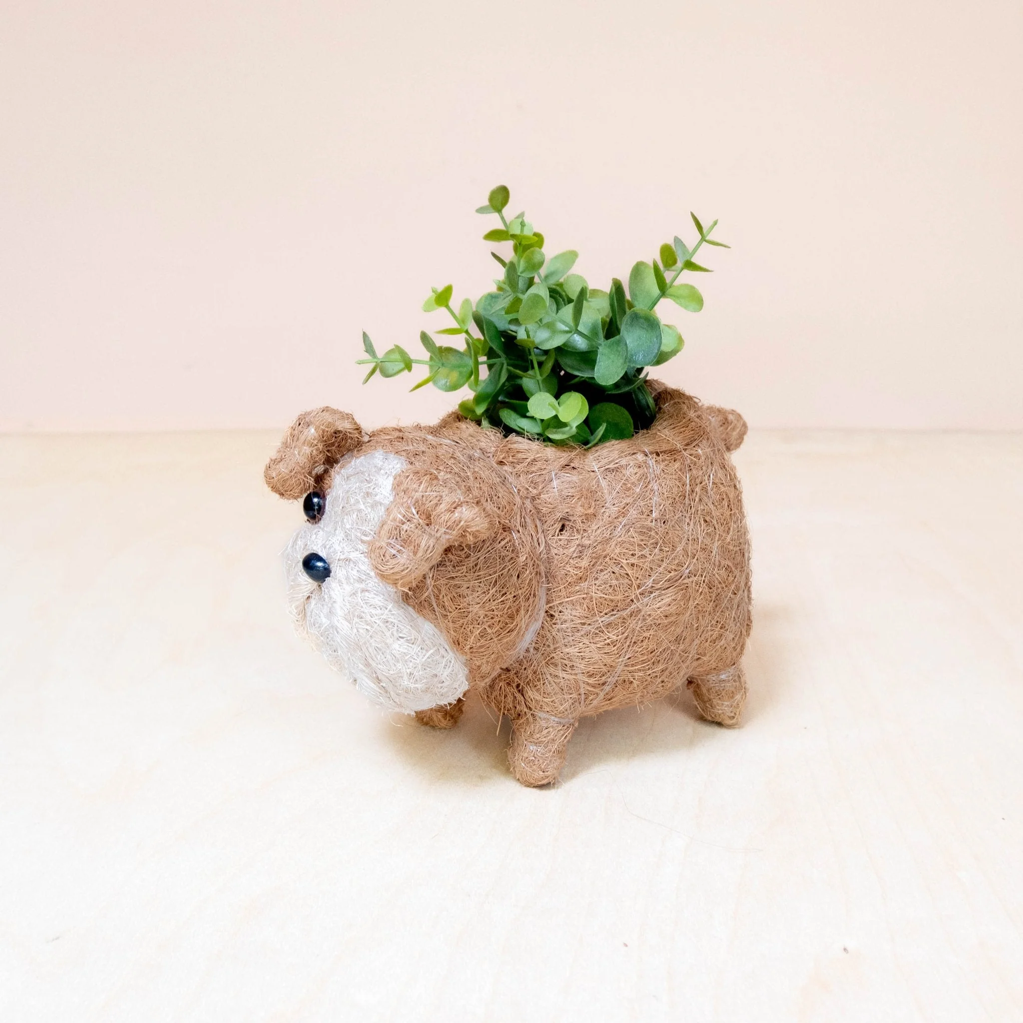 Baby English Bulldog Planter - Handcrafted Planter