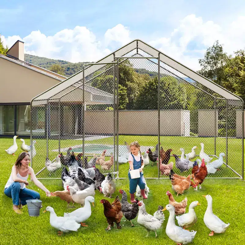 Silver Walk-In Poultry Run, Spire Roof, Lockable Door, for Chickens Ducks Rabbits