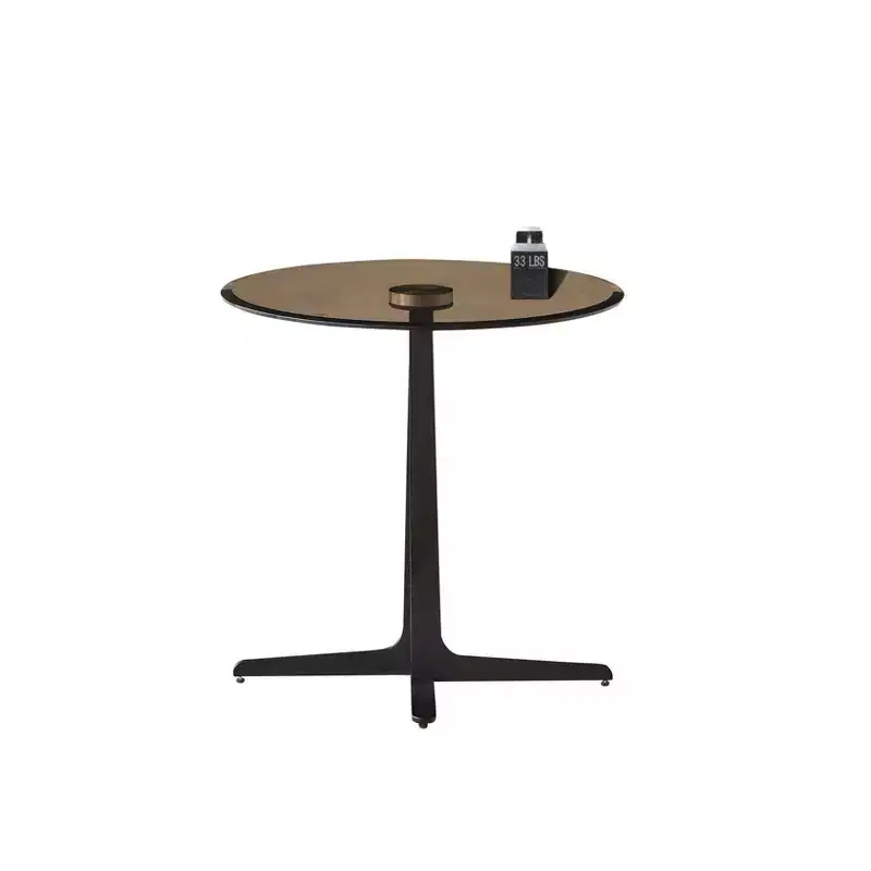 Modern 19.69 Metal and Tempered Glass Round End Table