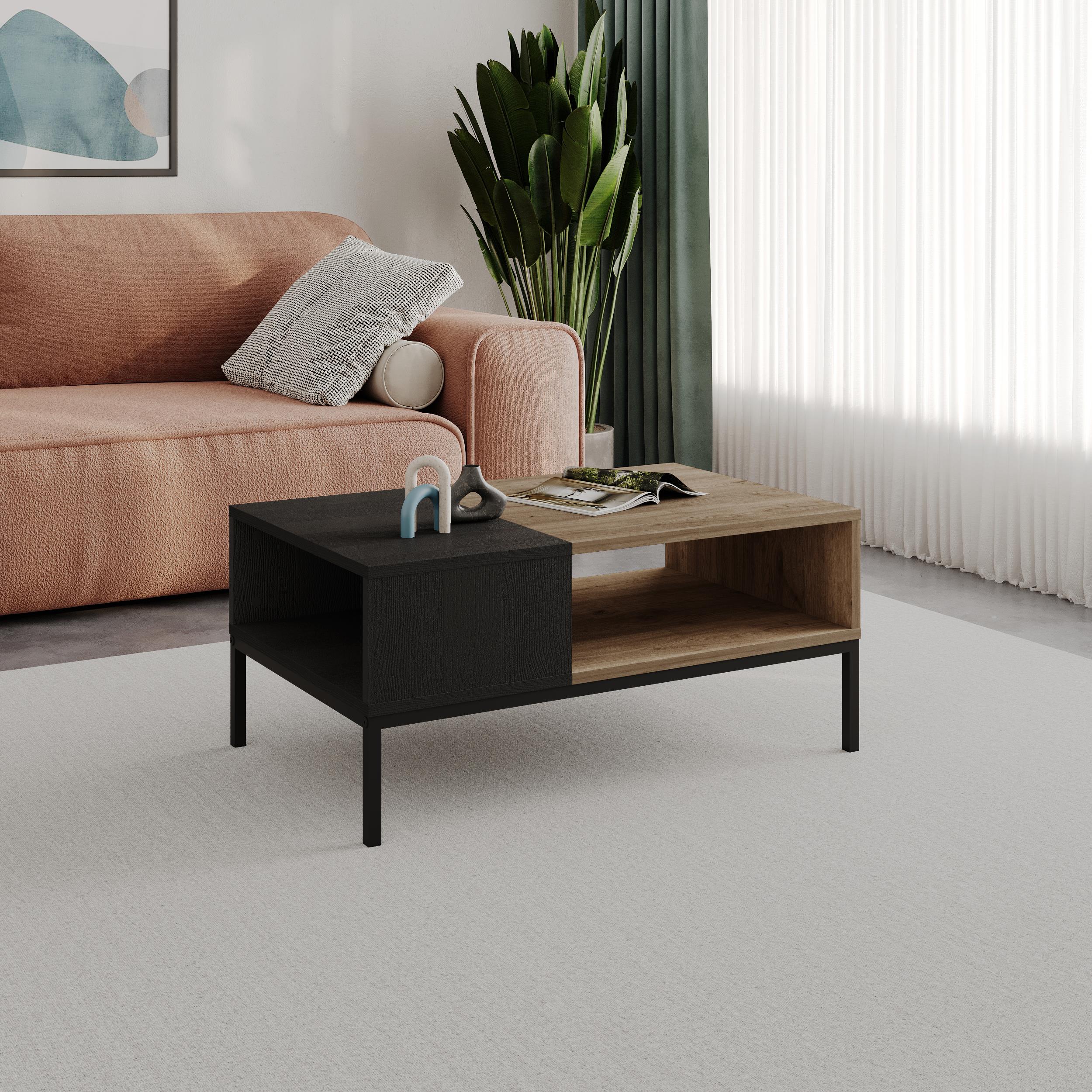 Cailin Modern Coffee Table with Open Storage