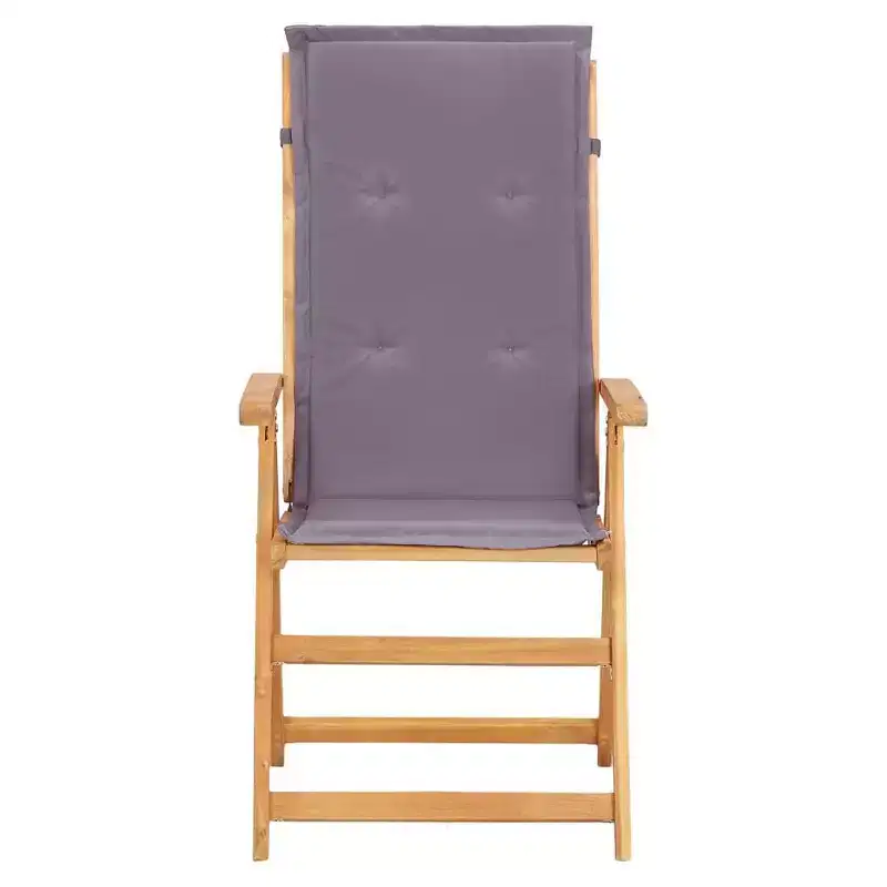 vidaXL Garden Chair Set of 2 Dark grey
