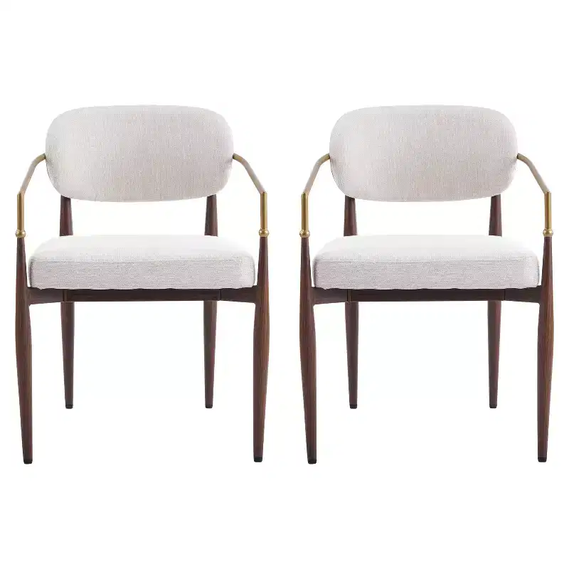 Christopher Knight Home Elodie Modern Upholstered Dining Chairs (Set of 2)