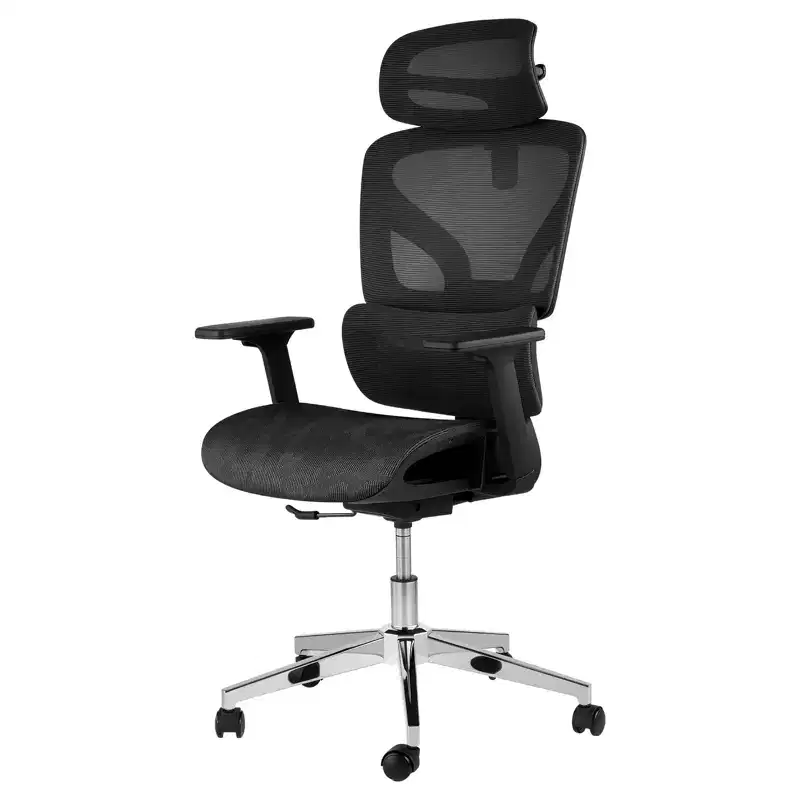 Mesh Ergonomic Office Chair with 4D Armrests Dynamic Lumbar High Back Recline Slide Seat Headrest Silent Wheels for Home Study Gaming
