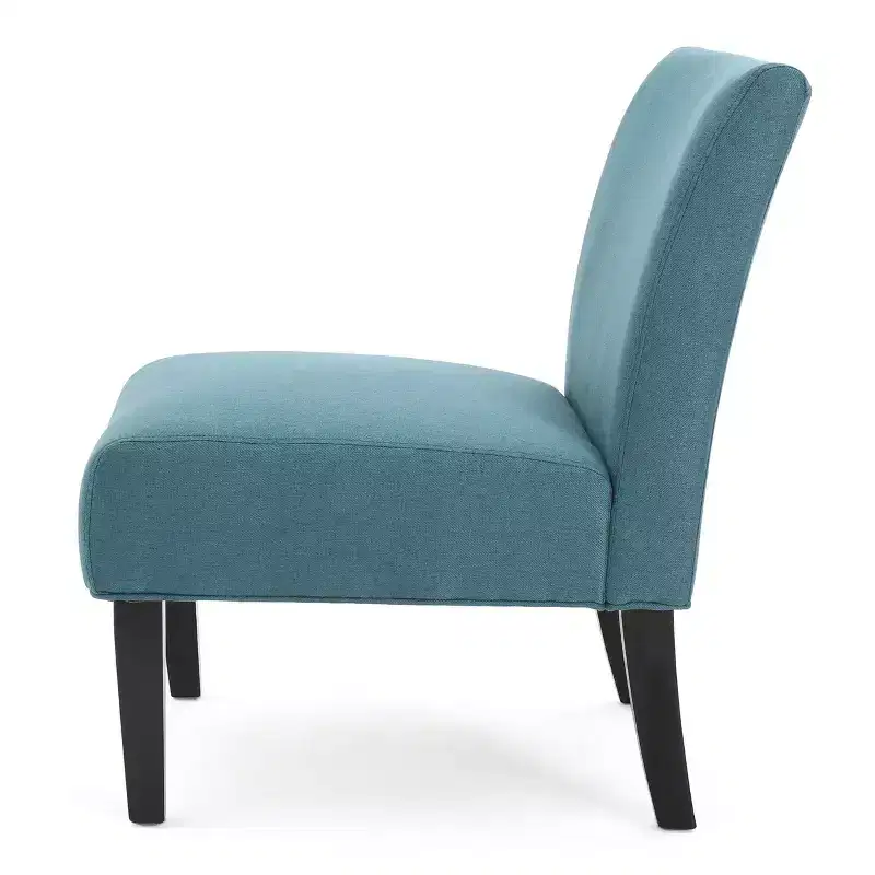 Set of 2 Kassi Accent Chair - Christopher Knight Home
